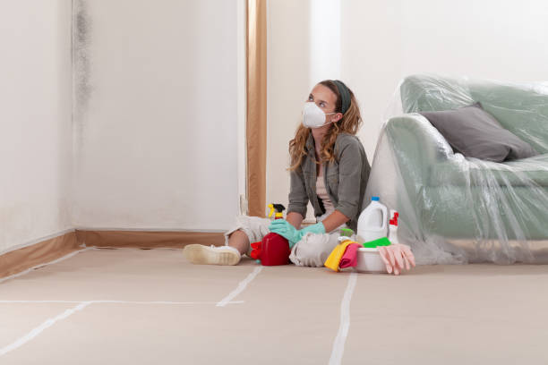 Reliable Mold Inspection contractor in Cooksville, MD by WQB Mold Removal